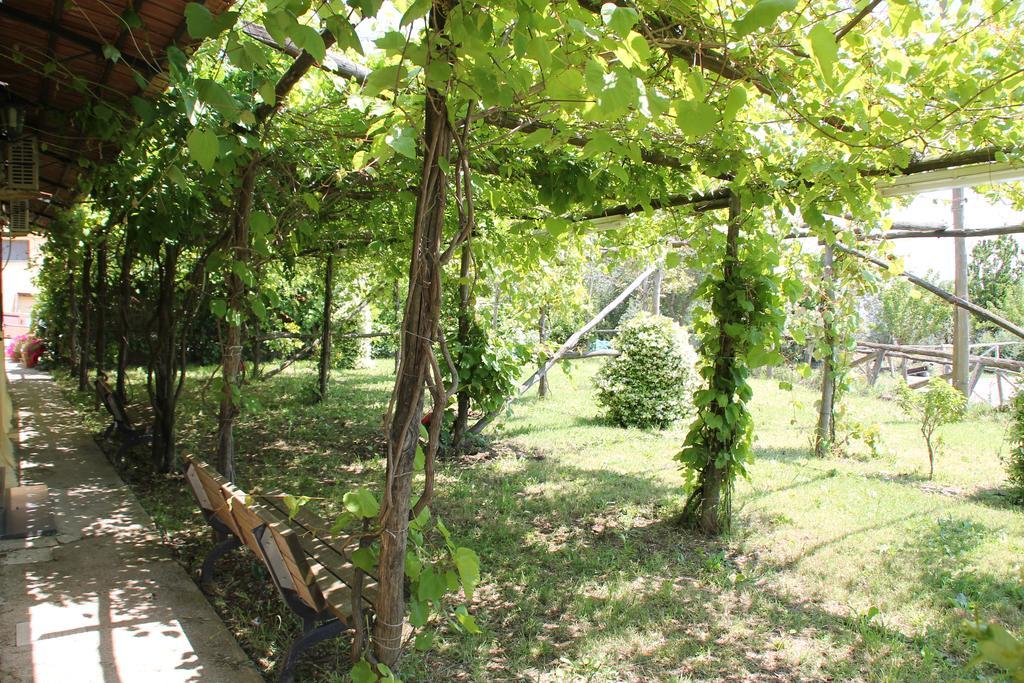 Agriturismo Piccolo Paradiso Piano di Sorrento Exterior photo